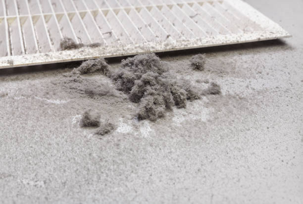 Best Ventilation Cleaning Services  in Rosharon, TX