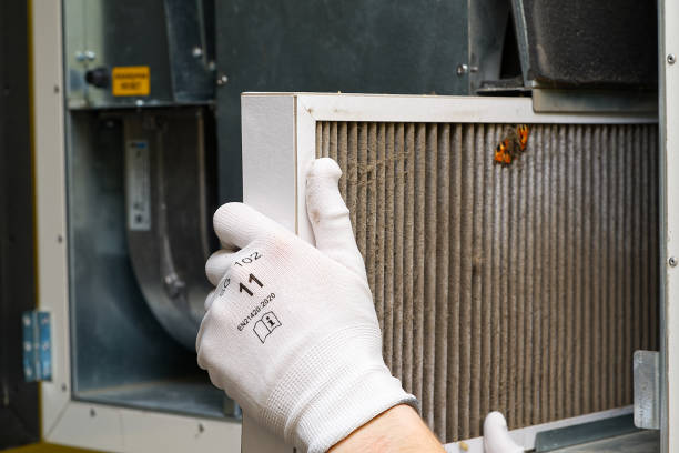 Best Best Air Duct Cleaning Company  in Rosharon, TX
