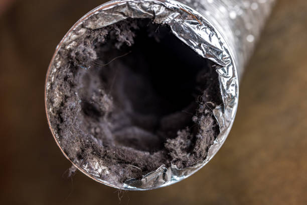 Best HVAC Duct Inspection Services  in Rosharon, TX