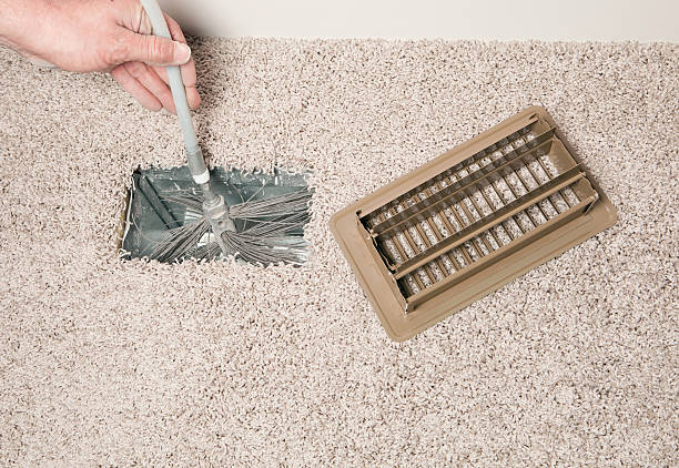 Best Air Duct Mold Removal  in Rosharon, TX